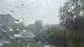 МЧС предупредило владимирцев о ливне и урагане 3 июля