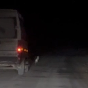 Во Владимирской области гонка зайца с ГАЗелью попала на видео