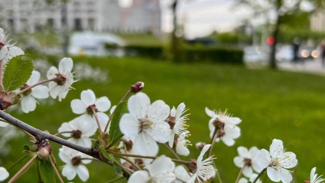 В апреле во Владимирской области потеплеет до +19 градусов