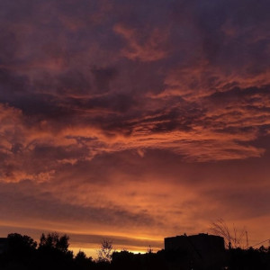 Огненно-малиновые закаты украсили небо над Владимирской областью в выходные