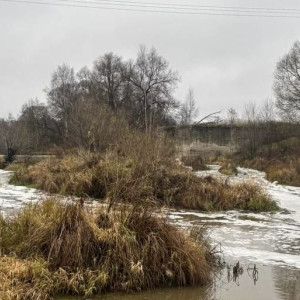 Река Пекша в Петушинском районе покрылась белой пеной из-за загрязнения