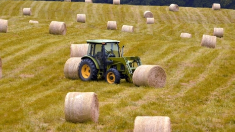 В Александрове нажившаяся на трактористах директор автошколы пойдет под суд