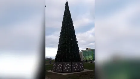 Во Владимире появилась первая новогодняя елка