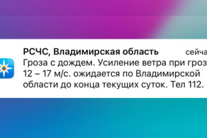 МЧС предупредило о грозе и урагане во Владимирской области