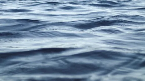 Во Владимирской области случилась 31 трагедия на воде