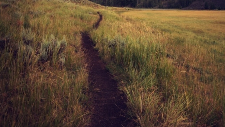 Пропавшую во Владимирской области женщину в красном халате нашли мертвой