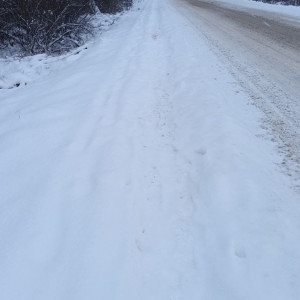 Губернатор прокомментировал массовые жалобы на неочищенные дороги