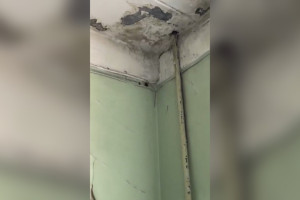 В больнице №2 во Владимире подтвердили наличие грибка на потолке