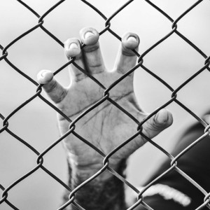 Во Владимире осудили передавшего взятку экс-начальнику миграционной службы УМВД