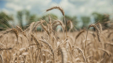 Евсеев день: что можно и нельзя делать 7 мая