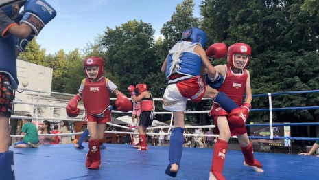 Турнир по шахматам, бокс и скейтбординг. Как прошел День физкультурника во Владимире