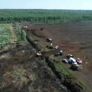 Во Владимирской области сгорели 3 гектара торфа