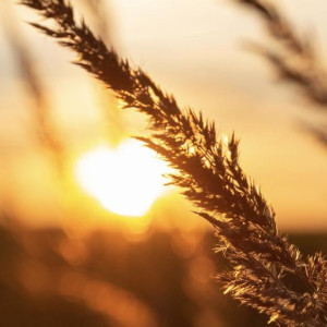 В 2026 году температура на Земле будет на 1,46 градусов выше нормы