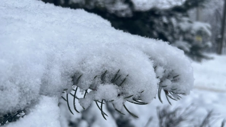 Во Владимирской области выпадет треть февральской нормы снега