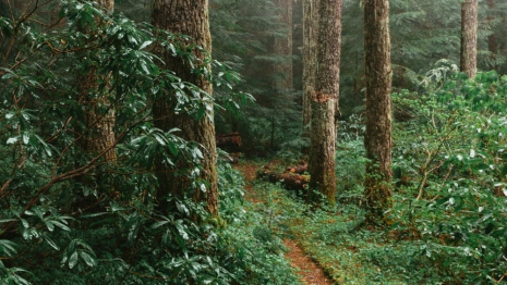 Во Владимире 39-летнего мужчину нашли живым спустя полгода