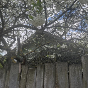 Во Владимирской области пообещали потепление до +17 градусов