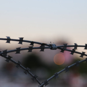 В Гусь-Хрустальном напавшего на полицейскую жителя осудили на 1 год 