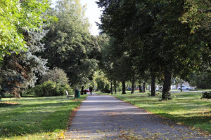 Разыскиваемого во Владимирской области 71-летнего москвича нашли живым