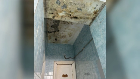 В спортшколе имени Прокурорва в Муроме нашли грибок и следы протечек