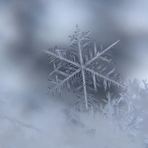 Прогноз погоды во Владимирской области на 23 декабря