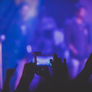 Концерт кавер-групп и тайная прогулка по ночному лесу. Как провести выходные во Владимире