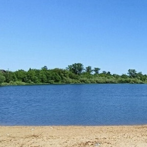 Разрешенный для купания пляж в Коврове закроют из-за борьбы с клещами