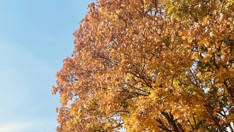 Прогноз погоды во Владимирской области на 28 сентября