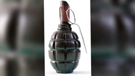 В Гороховце молодой человек бросил муляж гранаты под ноги 66-летней соседки