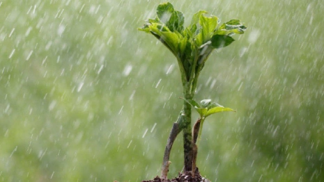 Прогноз погоды во Владимирской области 2 сентября
