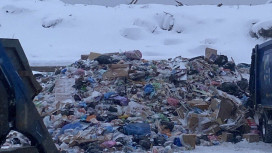 В Кольчугино незаконно работает закрытый мусорный полигон