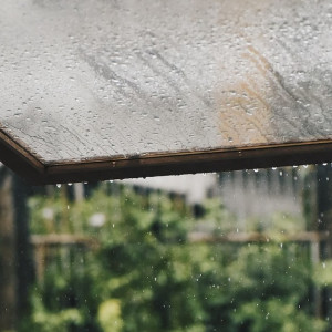 Во Владимирской области дожди будут лить две недели