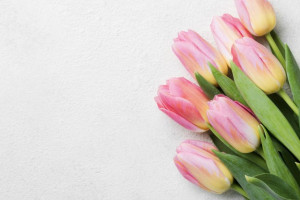 Владимирцев предупредили о схемах мошенников в преддверии 8 марта