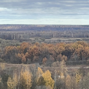 Во Владимирской области потеплеет до +9 градусов