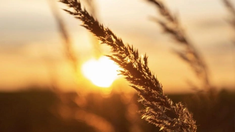 В 2026 году температура на Земле будет на 1,46 градусов выше нормы