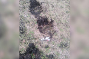 На севере Вязниковского района заметили следы бурой медведицы с 2 детенышами