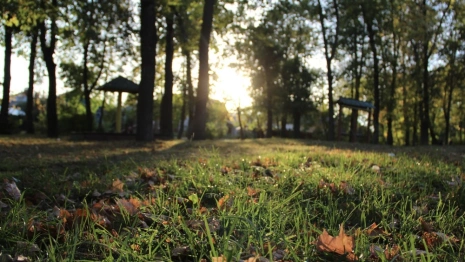 Во Владимирскую область придет почти майское тепло