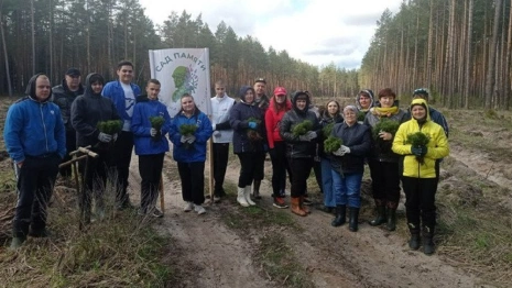 Во Владимирской области высадили почти 20 тысяч сеянцев сосны 