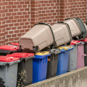 Во Владимирской области экопункты собрали более 520 тонн вторсырья