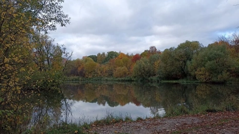Во Владимире парк у ДТЮ благоустроят через 3 года
