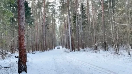 К Новому году в Гусь-Хрустальном районе откроют новую лыжную трассу