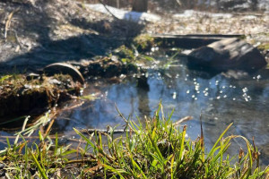 Прогноз погоды на 2 апреля 2024 года во Владимире и области