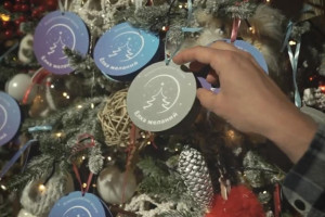 Во Владимирской области открылся прием на заявок на «Елку желаний»