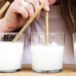 Во Владимирской области в магазинах нашли молоко и кефир с кишечной палочкой