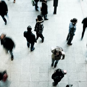 Пропавшего месяц назад жителя Владимира нашли живым