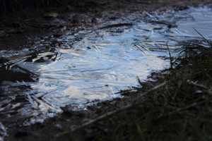 Осень вернется во Владимирскую область в конце недели
