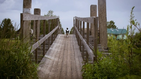 Во Владимирской области пять деревень будут бороться за грант в 250 тысяч