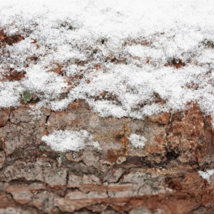 Прогноз погоды во Владимире и области на 8 марта