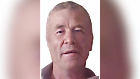 Владимирцев попросили помочь с поиском 58-летнего мужчины в панаме