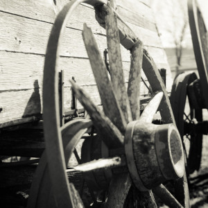 Тележный день: что можно и нельзя делать 29 марта