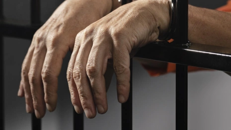 Во Владимирской области подозреваемого в убийстве в СНТ отправили в СИЗО